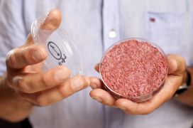 Mosa Meat grows hamburgers in laboratory