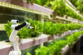 Sky-high expectations for vertical agriculture